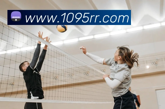 App Interface Preview